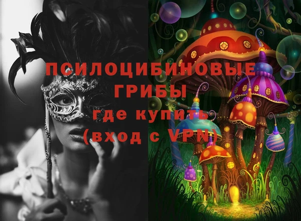 дживик Заводоуковск