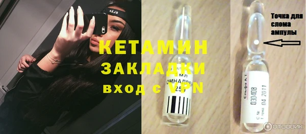 шишки Заволжск