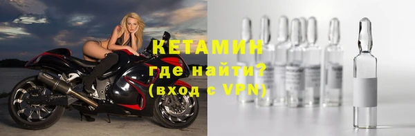 шишки Заволжск