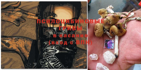 кристаллы Ельня