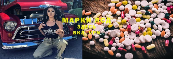 дживик Заводоуковск