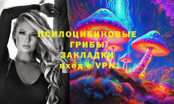 скорость Елизово